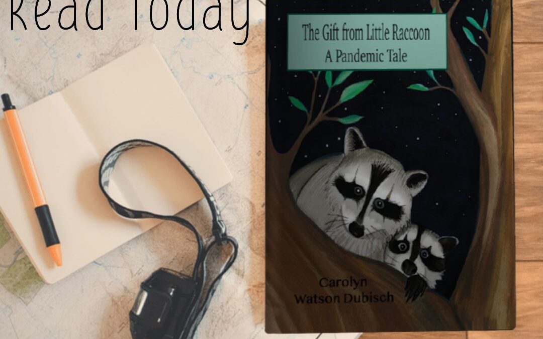 Blitz: The Gift From Little Raccoon
