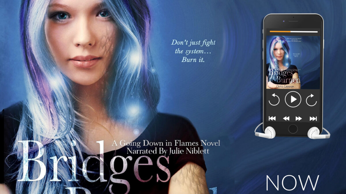 Audio Blitz: Bridges Burned