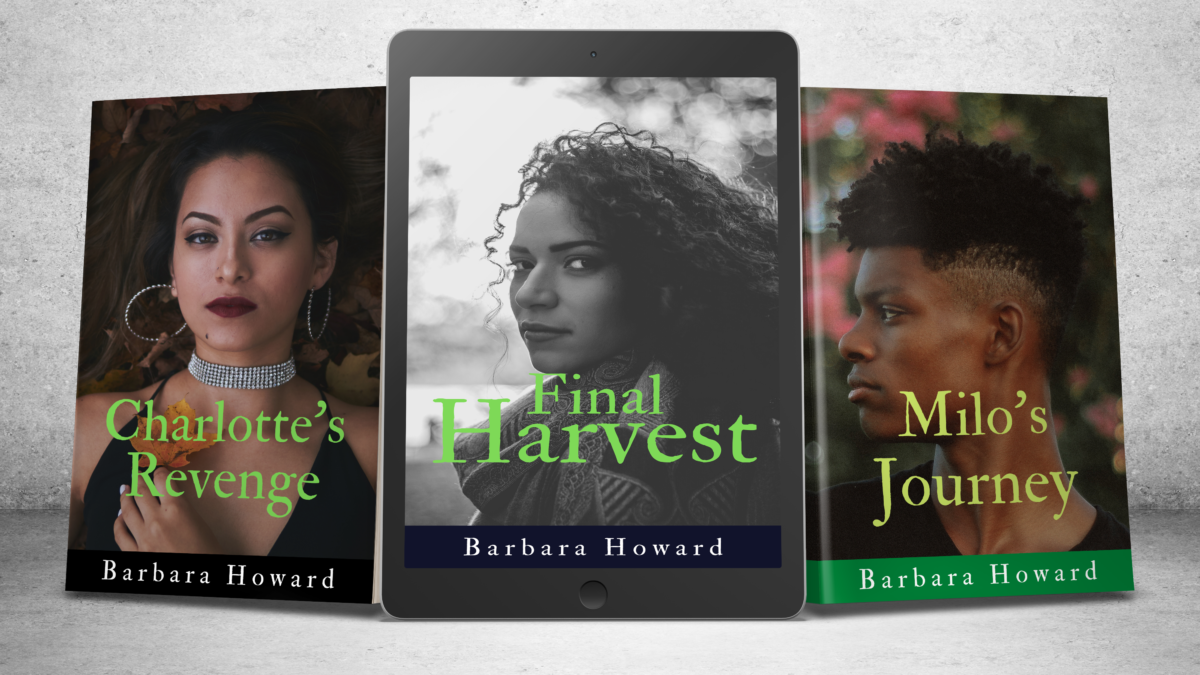 Tour: Finding Home Mystery Series