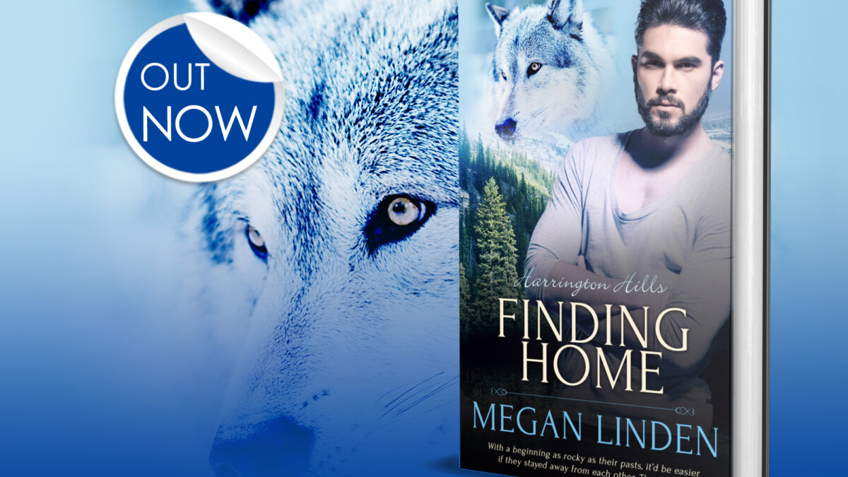Blitz: Finding Home