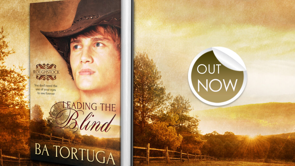 Blitz: Leading the Blind