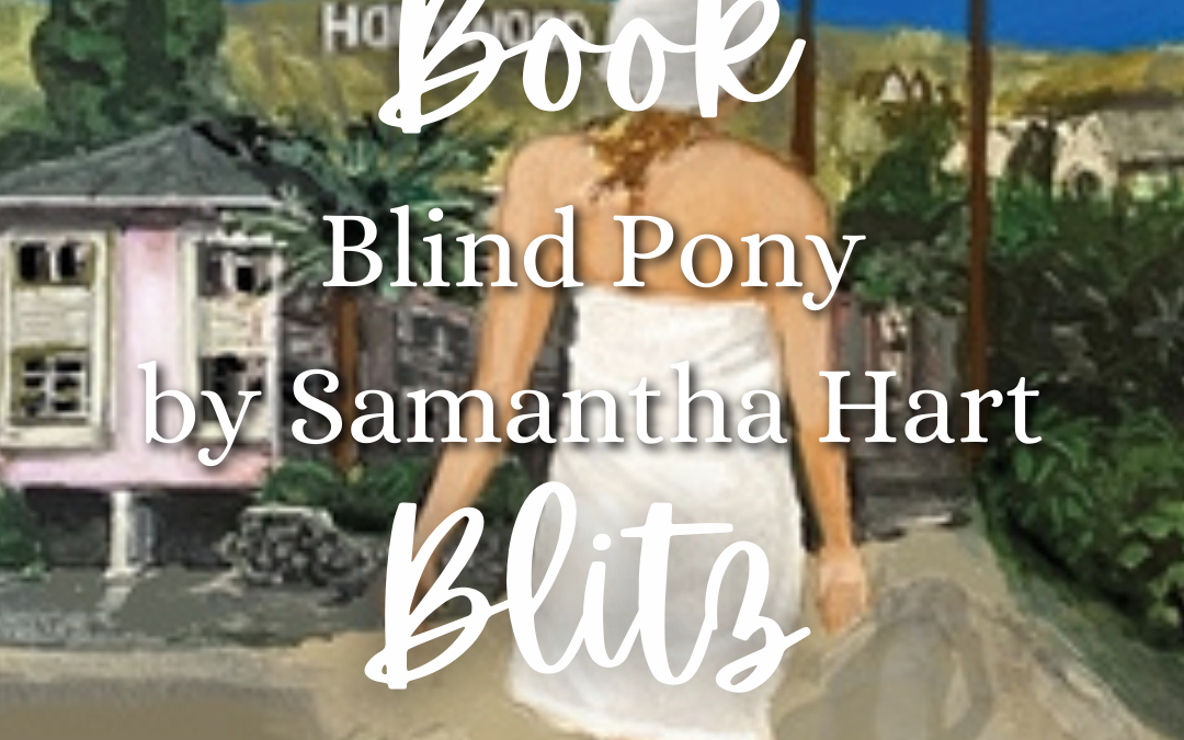 Blitz: Blind Pony