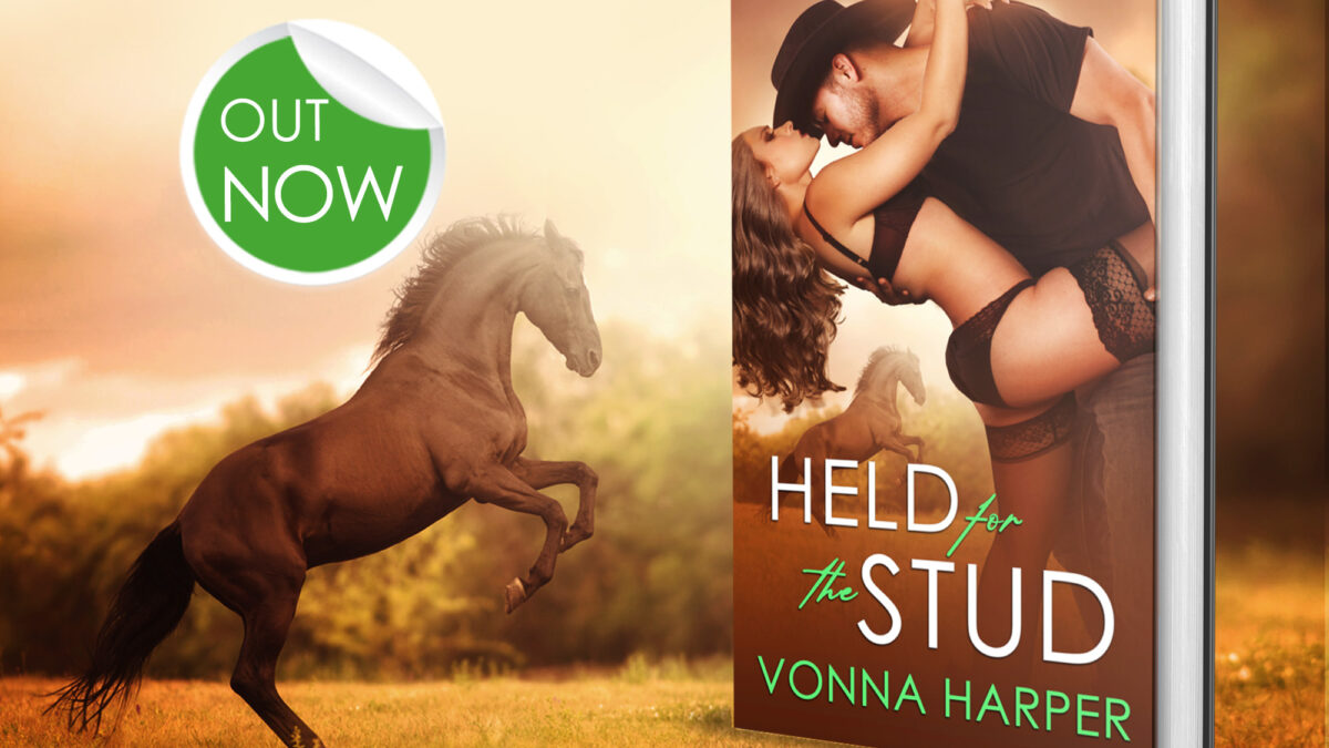 Blitz: Held for the Stud