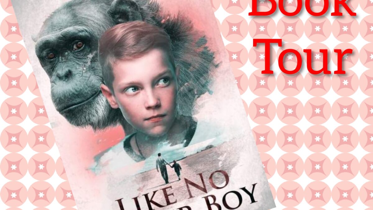 Tour: Like No Other Boy