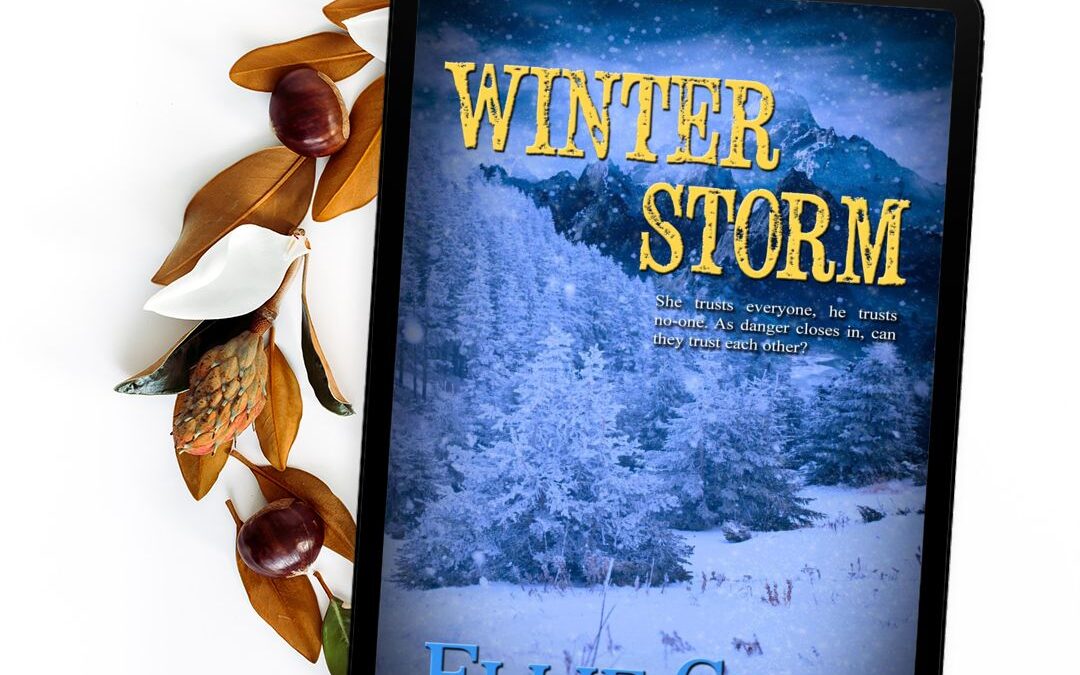 Blitz: Winter Storm
