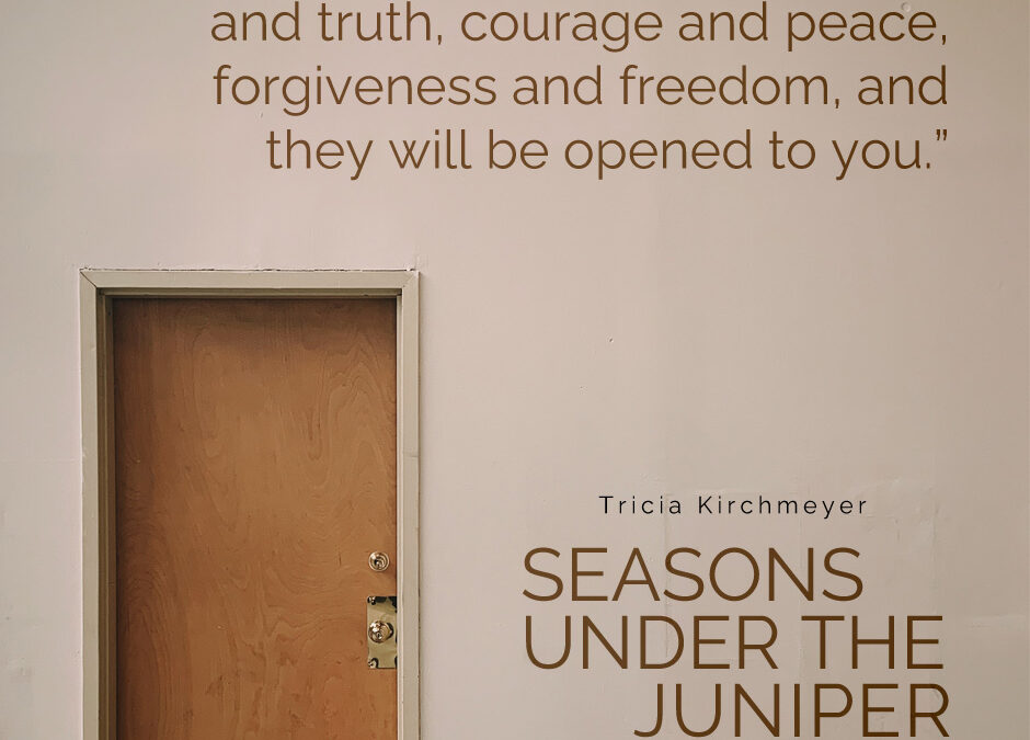 Seasons Under the Juniper Tree