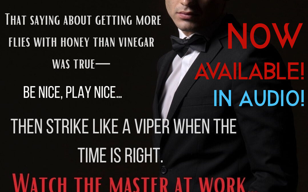 The Real Baxter Audiobook