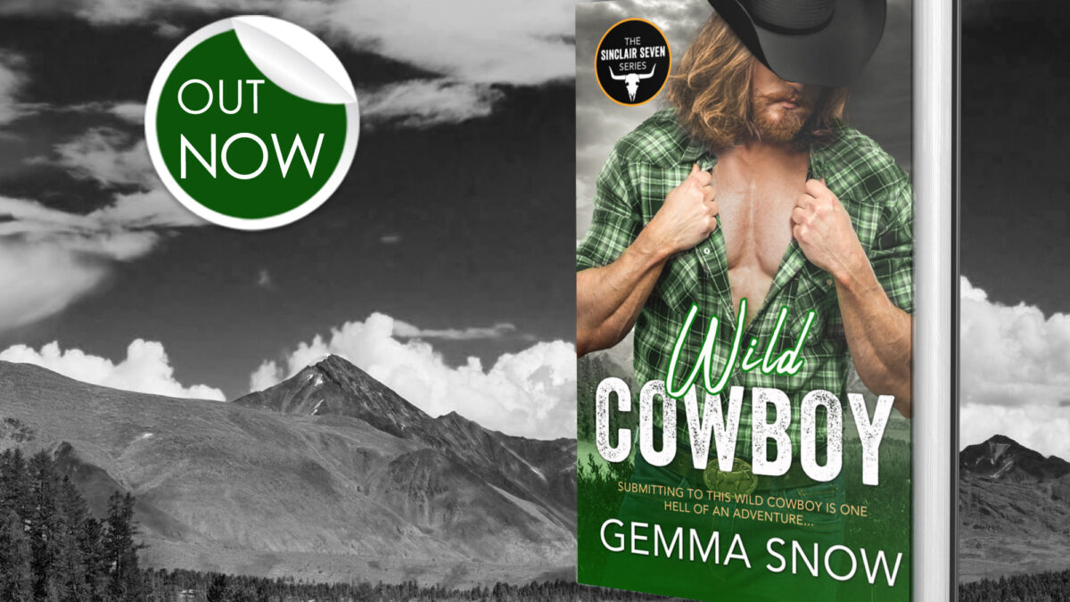 Wild Cowboy