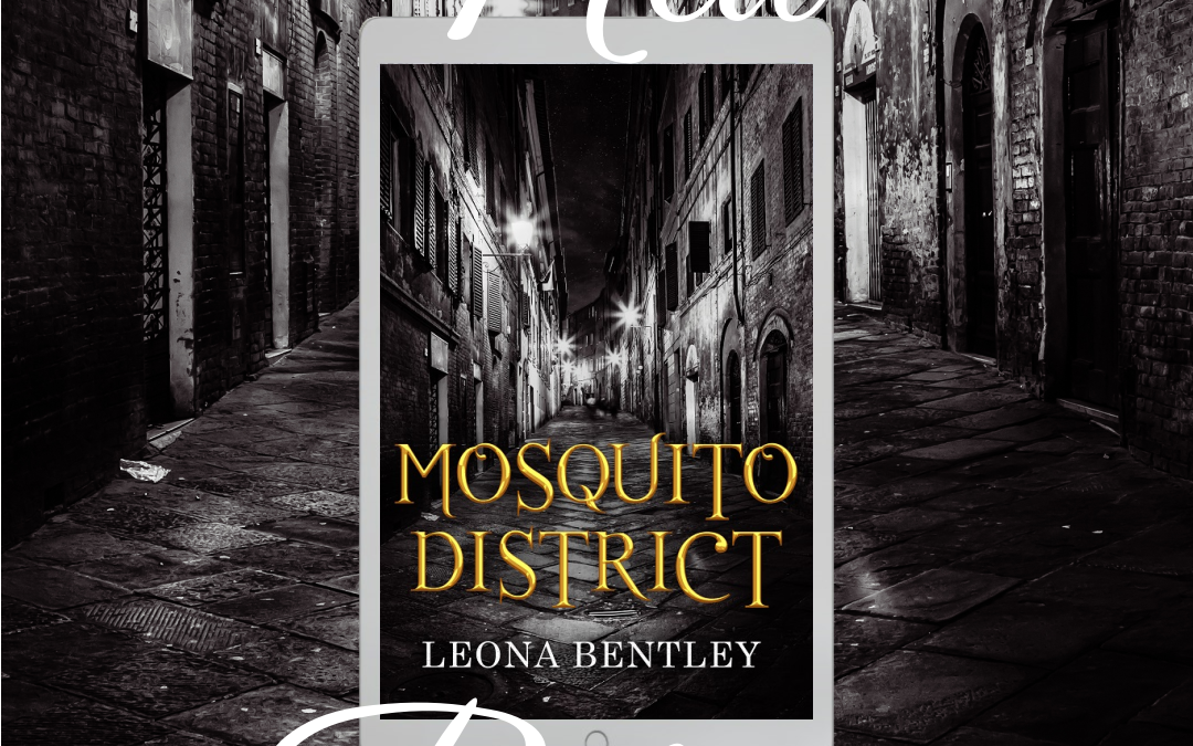 Mosquito District