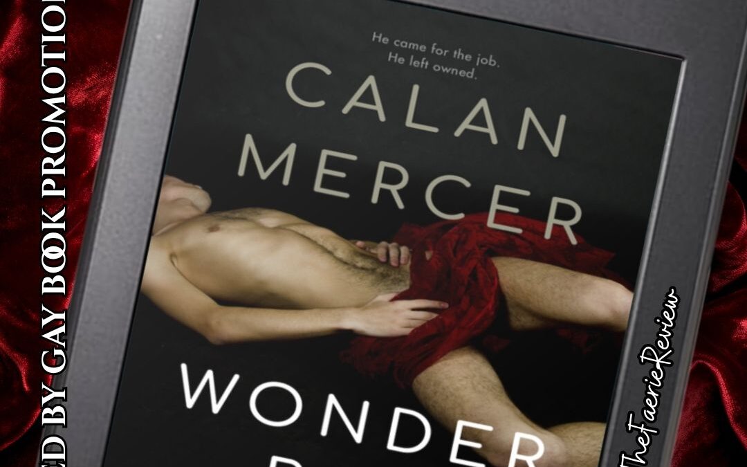 Wonder Boy: Owned Book Tour